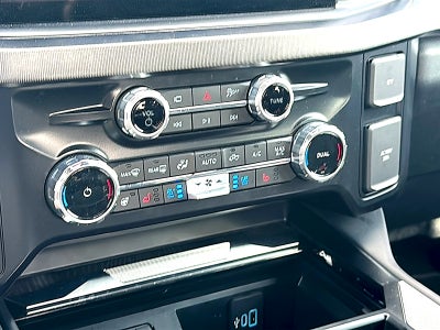 2025 Ford F-250 Platinum